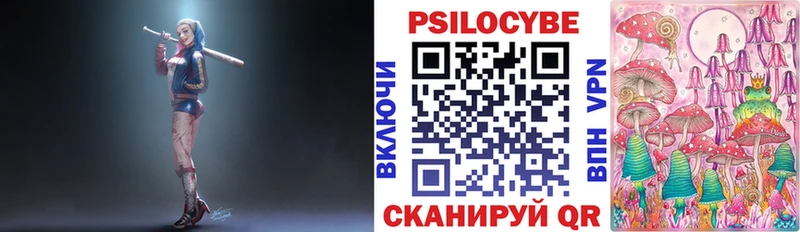 Купить  Вятские Поляны  Псилоцибиновые грибы GOLDEN TEACHER 
